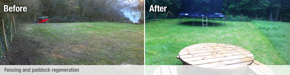 new fencing and paddock regeneration
